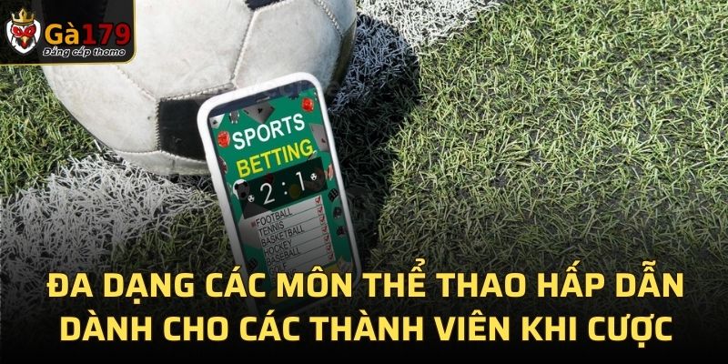 Đa dạng các môn thể thao hấp dẫn dành cho các thành viên khi cược